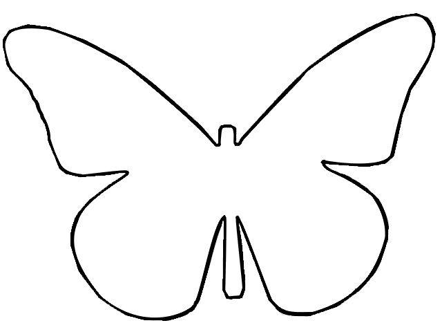 Butterfly Outline Sketch at PaintingValley.com | Explore collection of ...