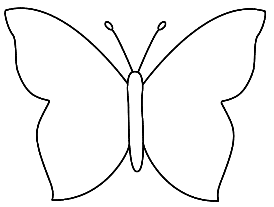 Butterfly Outline Sketch at PaintingValley.com | Explore collection of