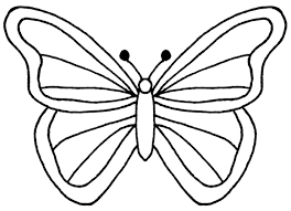 264x191 Outline Drawings Of Animals - Butterfly Outline Sketch