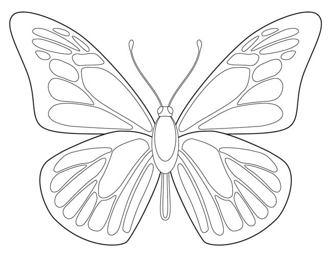 Butterfly Outline Sketch at PaintingValley.com | Explore collection of