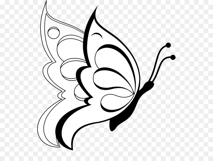 900x680 Butterfly Drawing Pencil Sketch - Butterfly Pencil Sketch