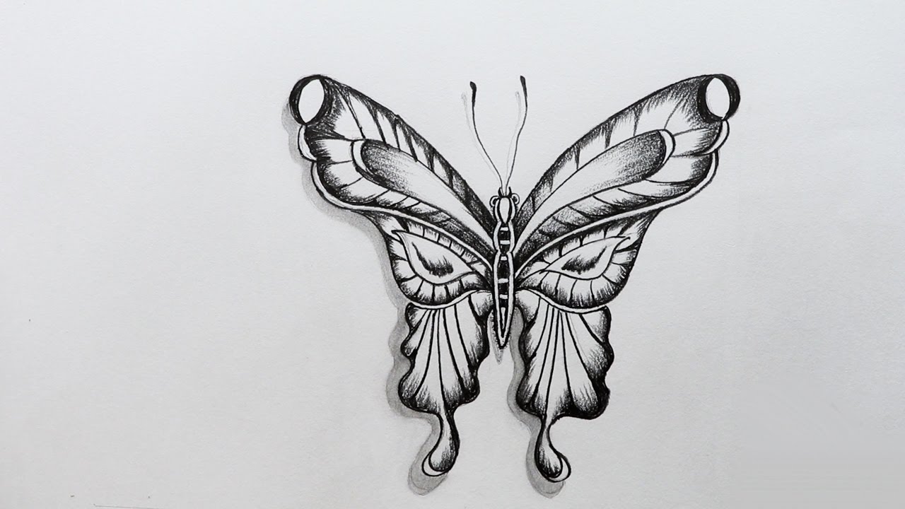 1280x720 How To Sketch A Butterfly - Butterfly Simple Sketch