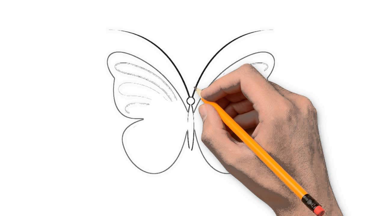 1280x720 Butterfly Nature Pencil To Draw Step By Step - Butterfly Simple Sketch