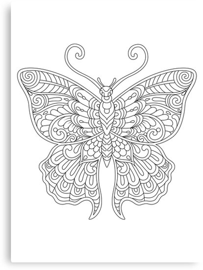 414x550 Butterfly Sketch Canvas Prints By Playkites Redbubble - Butterfly Sketch