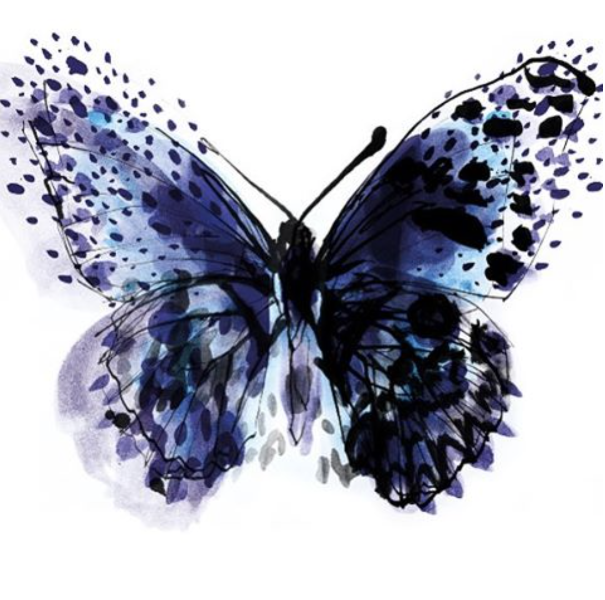 1202x1192 Caroline Tomlinson Butterfly Sketch Caribbean Magazine And News - Butterfly Sketch