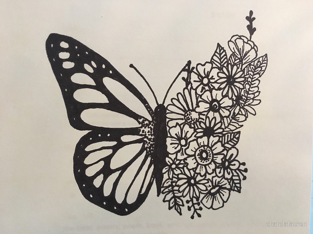 1000x750 Butterfly Sketch By Chandalauren Redbubble - Butterfly Sketch