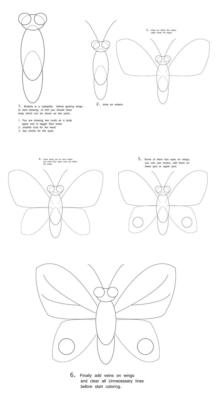 690x1314 How To Draw A Butterfly Drawing Freelancer Blog - Butterfly Sketch Drawings