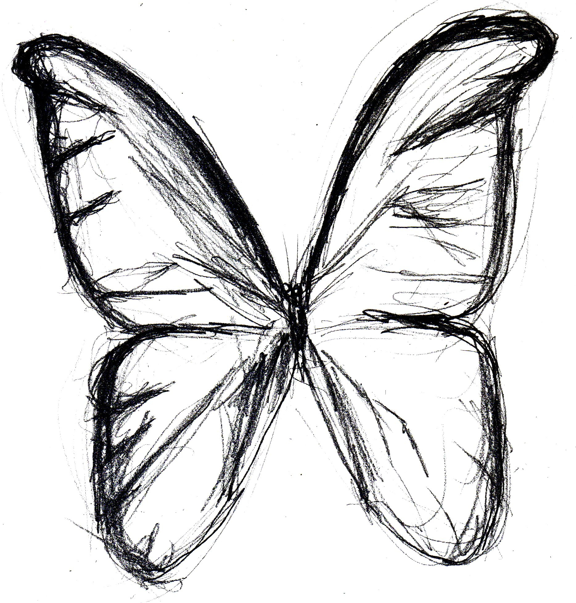 Butterfly Drawing Sk. 