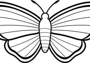 300x210 Black And White Butterfly Drawing Butterfly Drawings Black And - Butterfly Sketch Easy