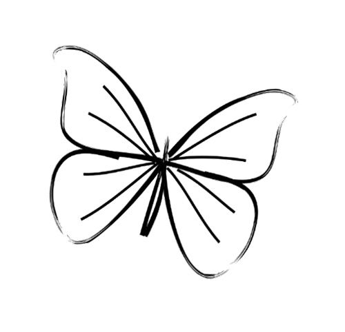 500x482 Simple Butterfly Line Drawing Card Ideas Tattoos - Butterfly Sketch Easy