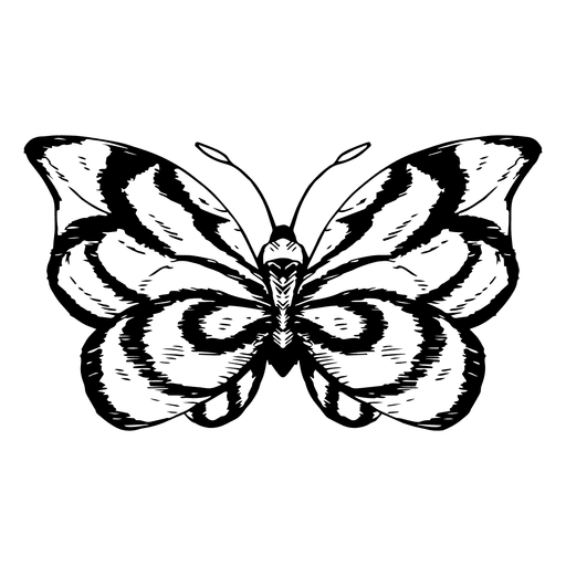 512x512 Butterfly Sketch - Butterfly Sketch Images