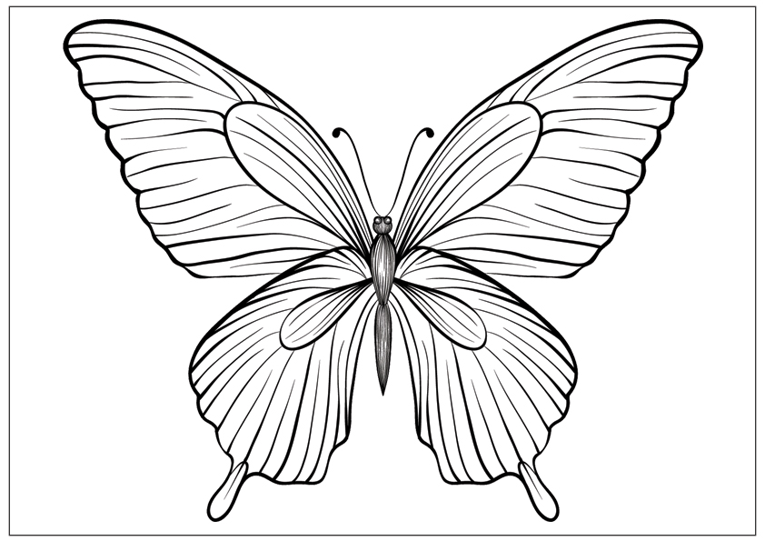 842x595 Printable Fun Butterfly Coloring Pages For Kids - Butterfly Sketch Images