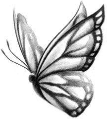216x239 The Best Thing We Can Do Is Think In Healthy And Helpful Ways - Butterfly Sketch Images