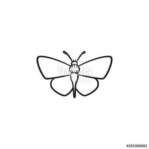 500x500 Butterfly Hand Drawn Outline Doodle Icon. Insect Butterfly Vector - Butterfly Sketch Outline