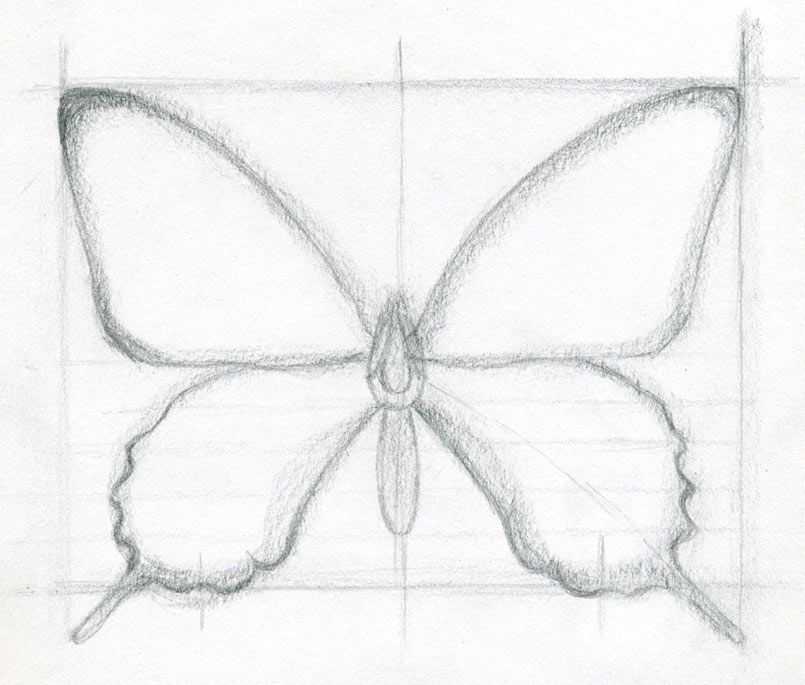 805x685 How To Draw A Butterfly. Surprisingly Easy! - Butterfly Sketch Outline