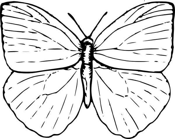 600x475 Easy Butterfly Drawings Butterfly Outline Clip Art Painting - Butterfly Sketch Outline