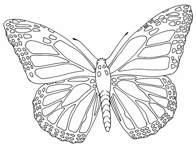 680x517 Butterfly Drawings Butterfly Outline Tattoo S Scp Design - Butterfly Sketch Outline
