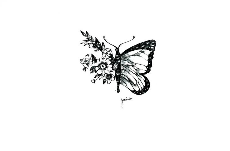 800x525 Butterfly Sketch January 2018 - Butterfly Sketch Pics