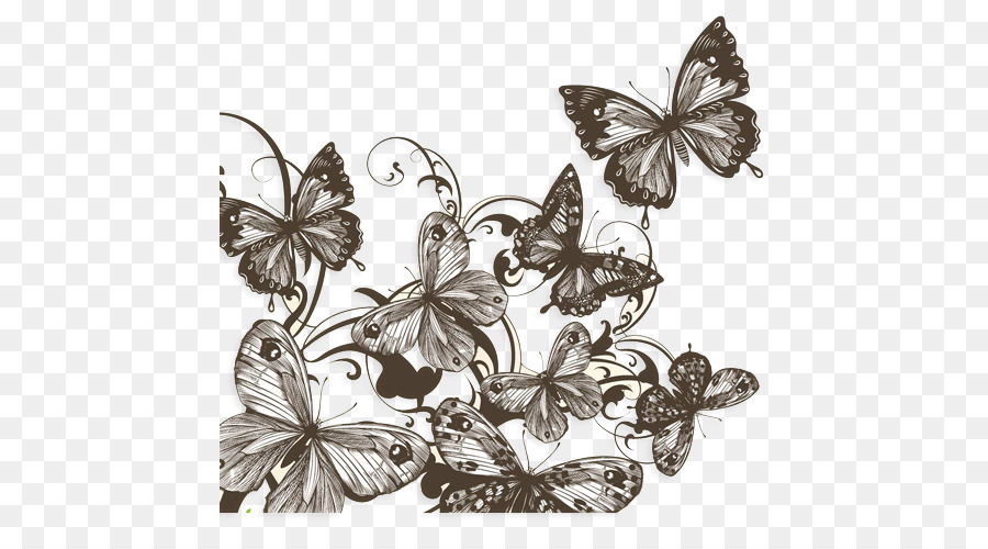 900x500 Butterfly Drawing Photography Shutterstock - Butterfly Sketch Pics