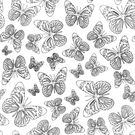 470x470 Butterfly Sketch - Butterfly Sketch Pics