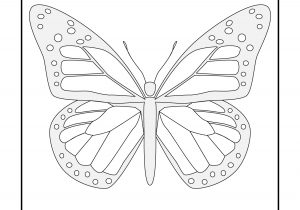 300x210 Easy Butterfly Drawings Step By Step Easy Butterfly Drawing Easy - Butterfly Sketch Simple