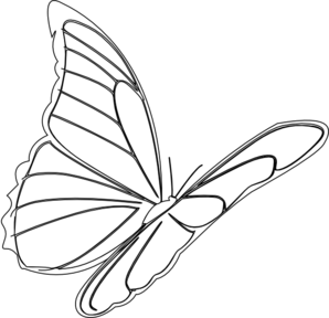 298x288 How To Draw Butterfly Step By Step Guide How To Draw - Butterfly Sketch Simple