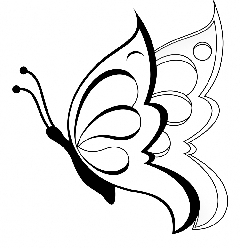 990x1024 Simple Butterfly Sketch Simple Drawing Of A Butterfly Simple - Butterfly Sketch Simple