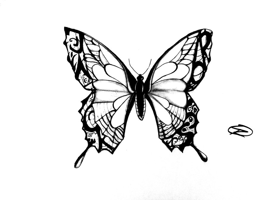 900x672 Latest Butterfly Tattoo Designs Samples - Butterfly Tattoo Sketch