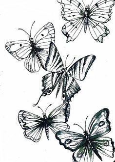 236x330 The 27 Best Butterfly Sketch Tattoo Images - Butterfly Tattoo Sketch