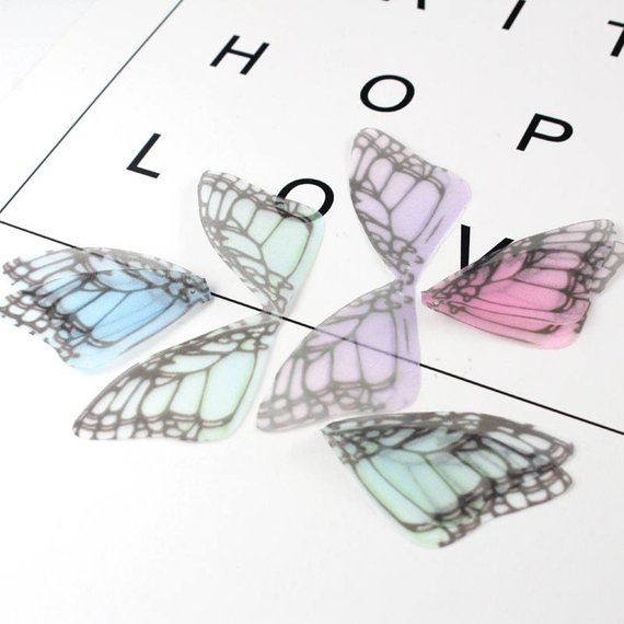 Butterfly Wings Sketch