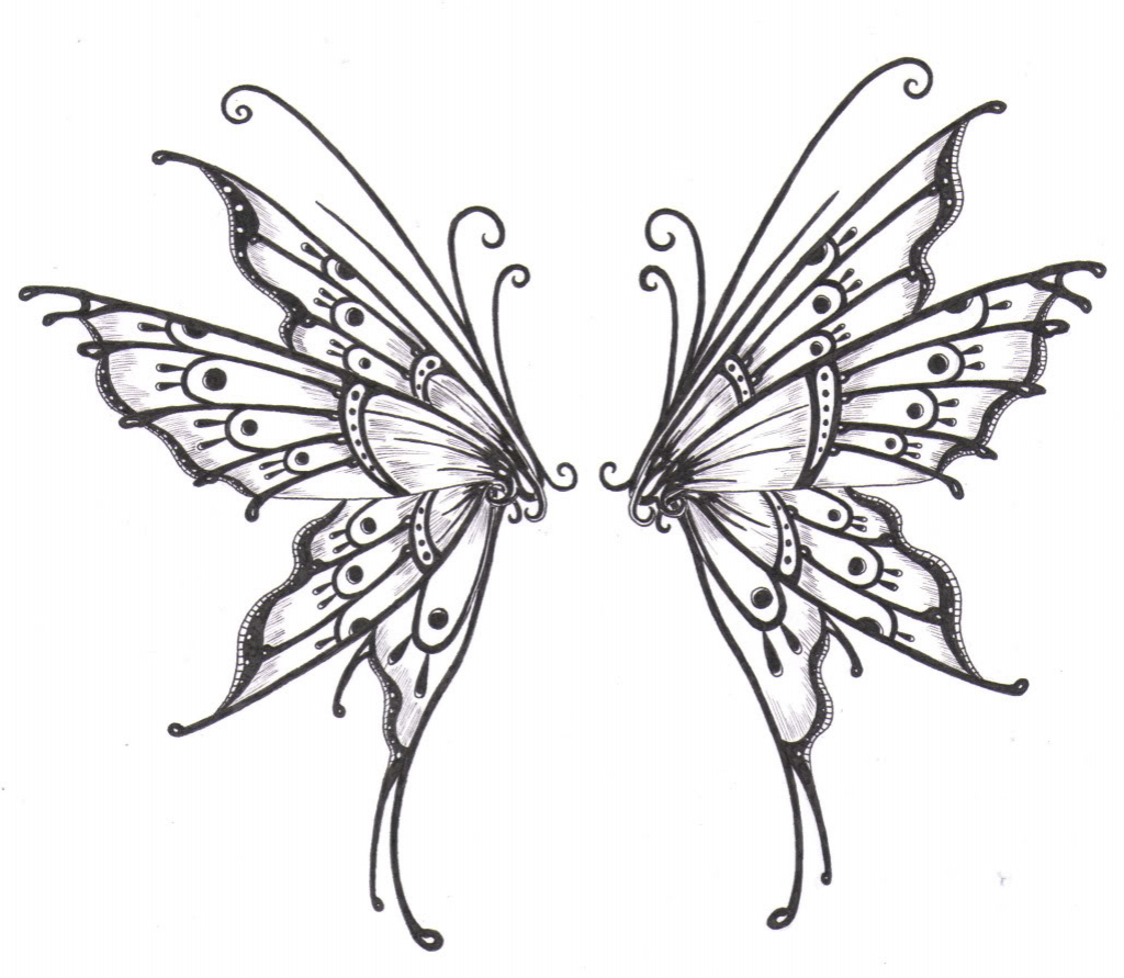 Butterfly Wings Sketch At Paintingvalley Com Explore Collection