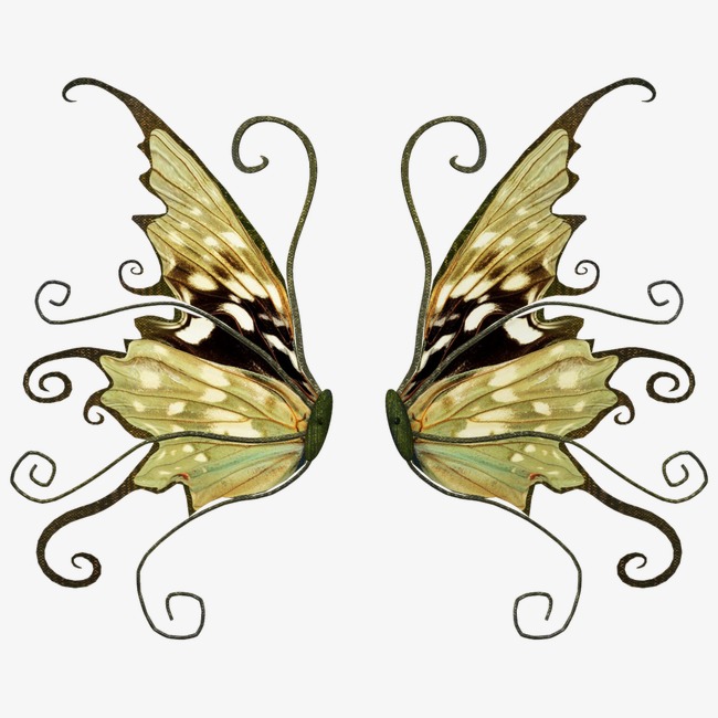 650x650 Feather Feather Sketch Material,beautiful Butterfly Wings - Butterfly Wings Sketch