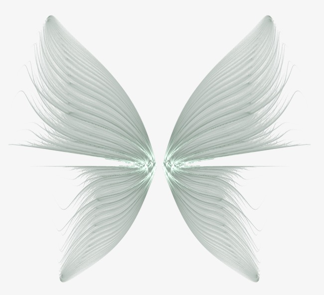 650x592 Feather Wings Feather Creative Sketch Pictures,butterfly, Wings - Butterfly Wings Sketch