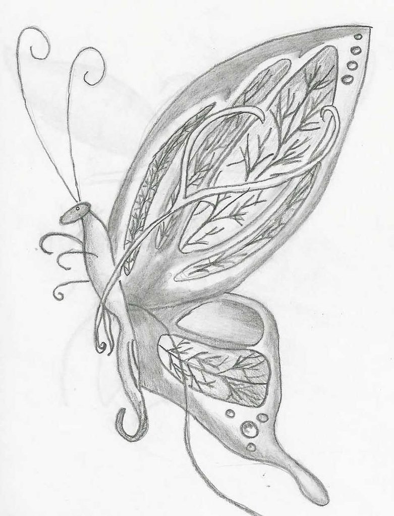 781x1022 Intricate Butterfly Wings By Midnightfairy15 - Butterfly Wings Sketch