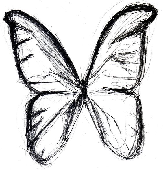 564x590 Butterfly Sketches Butterfly Drawing Butterfly Tattoo Butterfly - Butterfly Wings Sketch