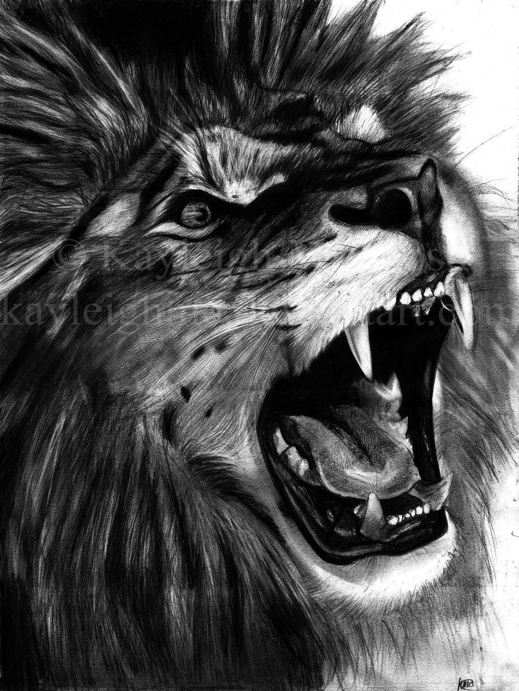 1024x1364 Angry Lion Face Sketch Angry Lion Drawing - Buy Sketch