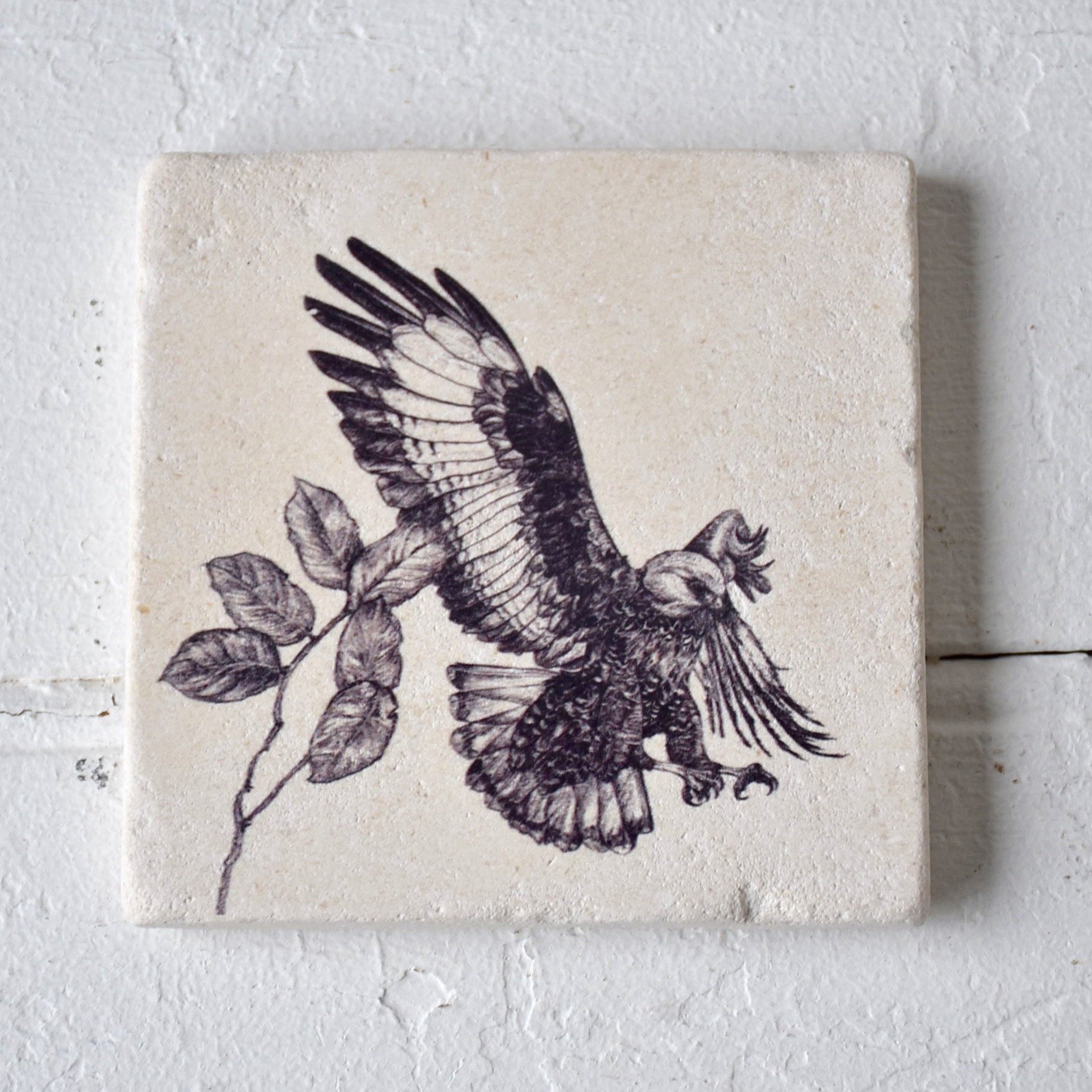 1791x1791 Jackal Buzzard Sketch Coaster - Buzzard Sketch