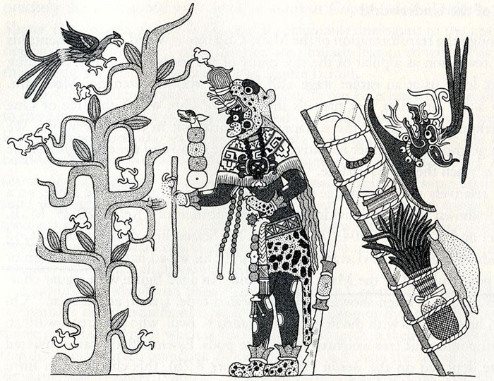 700x540 Cacao In Ancient Maya Religion - Cacao Sketch