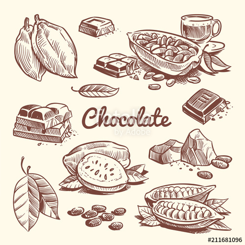500x500 Hand Drawn Cacao, Leaves, Cocoa Seeds, Sweet Dessert And Chocolate - Cacao Sketch