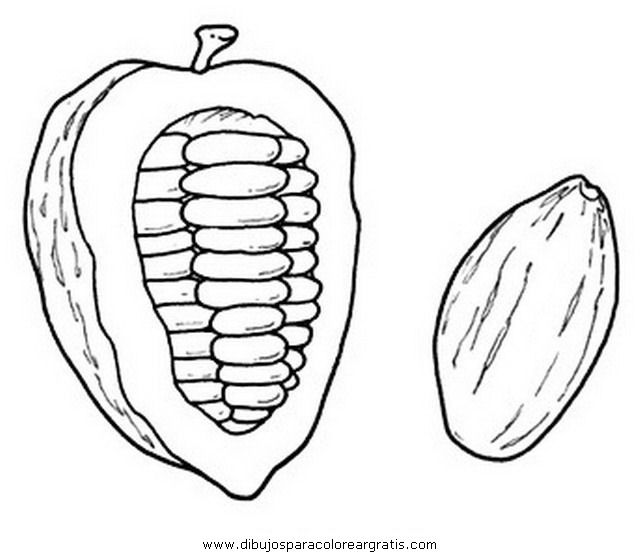 640x555 Cacao Pod Coloring - Cacao Sketch