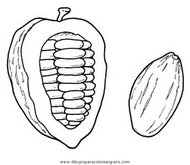 Как нарисовать бобы. Какао Бобы. Какао Бобы раскраска. Какао раскраска. Дерево какао раскраска.