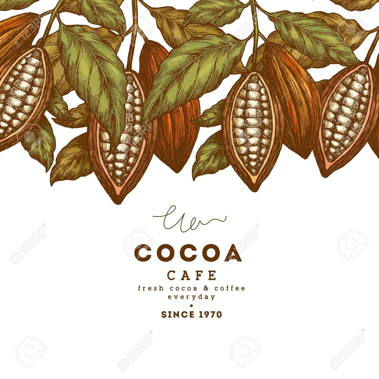 1300x1300 Cacao Clipart Vintage - Cacao Sketch
