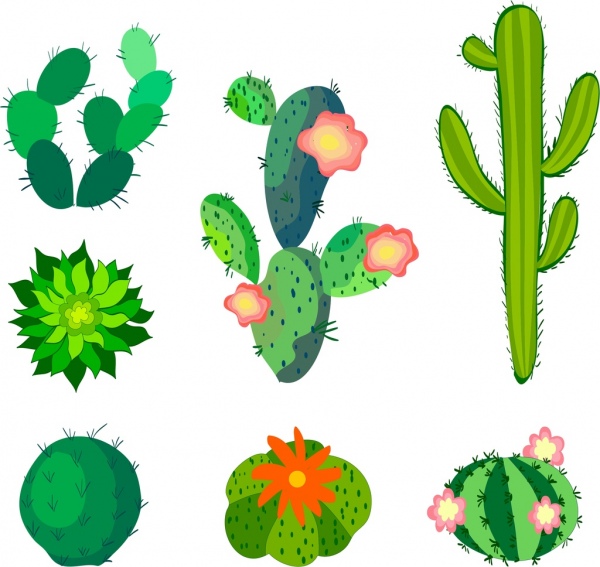 600x567 Cactus Icons Collection Various Green Types Sketch Free Vector In - Cactus Sketch