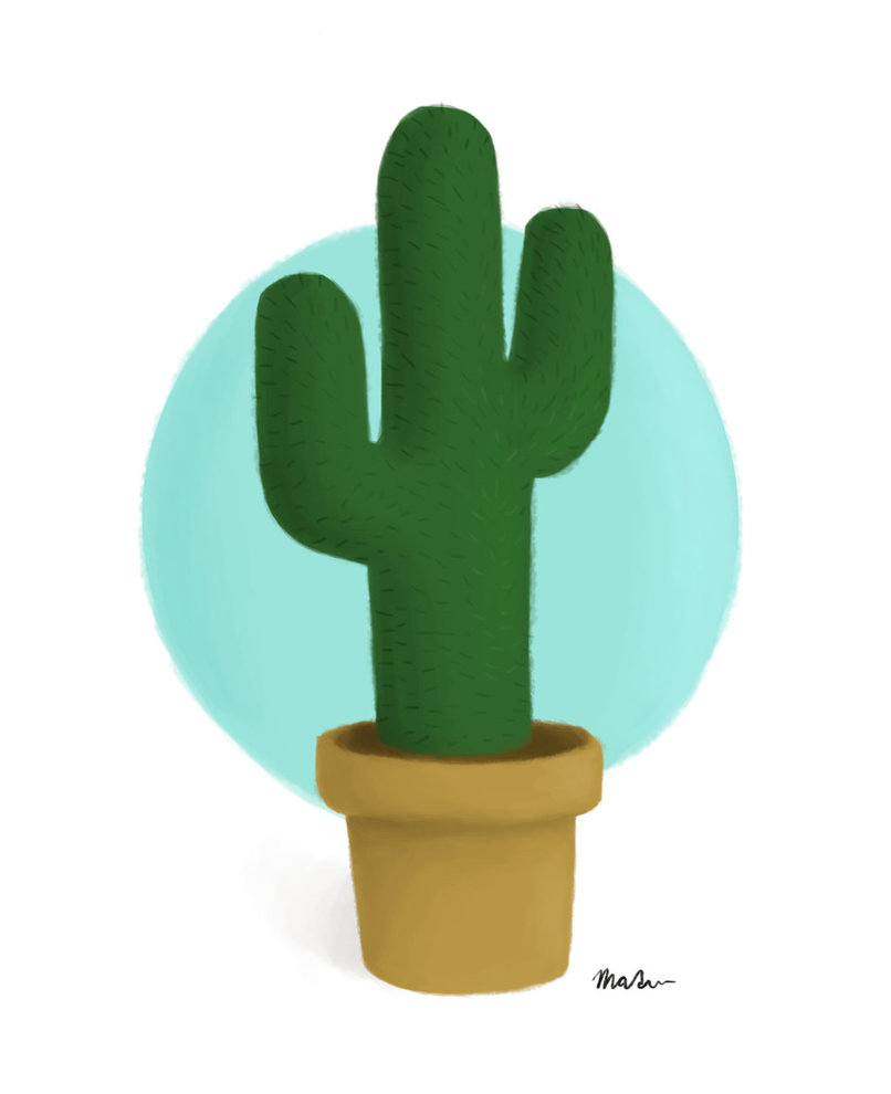806x990 Cactus Sketch By M97rose - Cactus Sketch