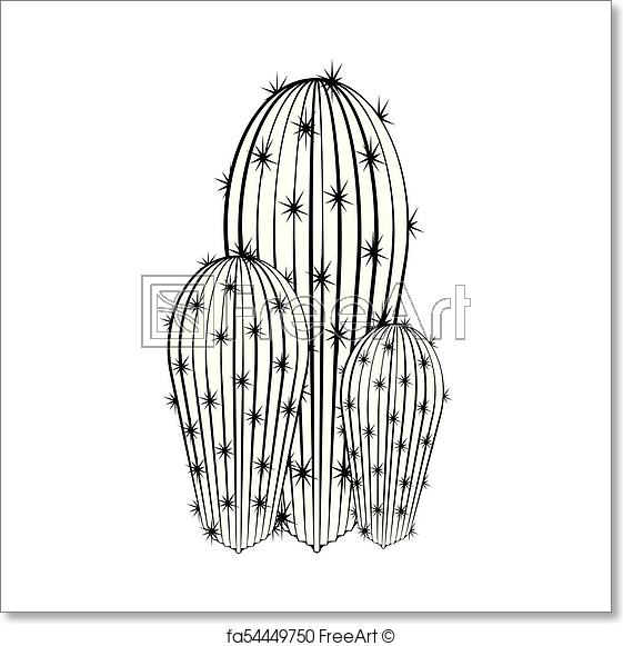 561x581 Free Art Print Of Sketch Of A Cactus. Sketch Of A Cactus, Vector - Cactus Sketch