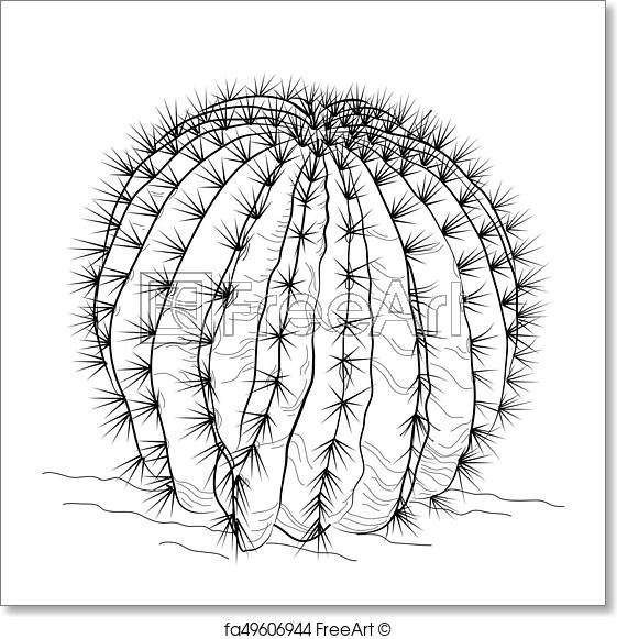 561x581 Free Art Print Of Sketch Of A Cactus. Vector Illustration Of - Cactus Sketch