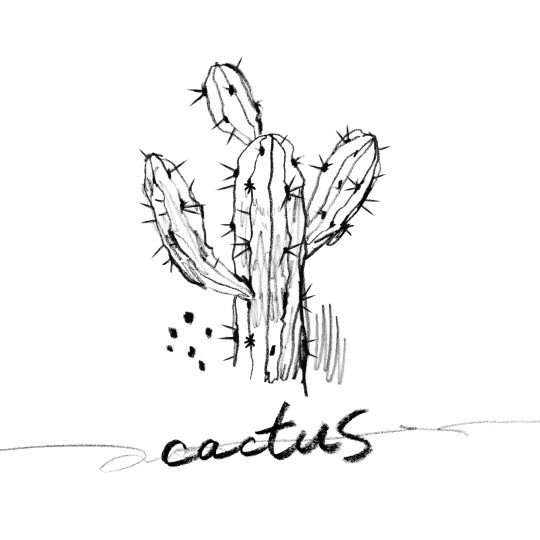 540x540 N Of Vixx Drops Recording Sketch Hypnoticasia - Cactus Sketch
