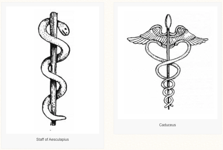 722x486 The Battle Of The Snakes Staff Of Aesculapius Vs. Caduceus - Caduceus Sketch