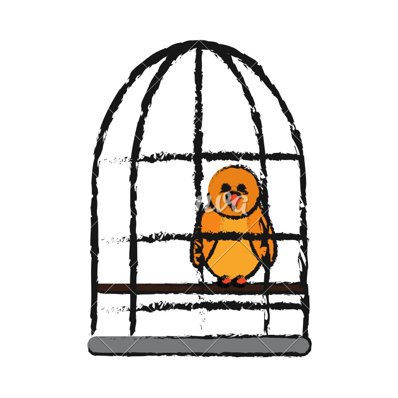 800x800 Bird In A Cage Sketch - Cage Sketch