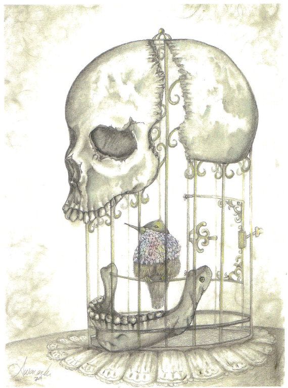 570x767 Bird In A Cage Print 12 X17in. Skull Cage - Cage Sketch